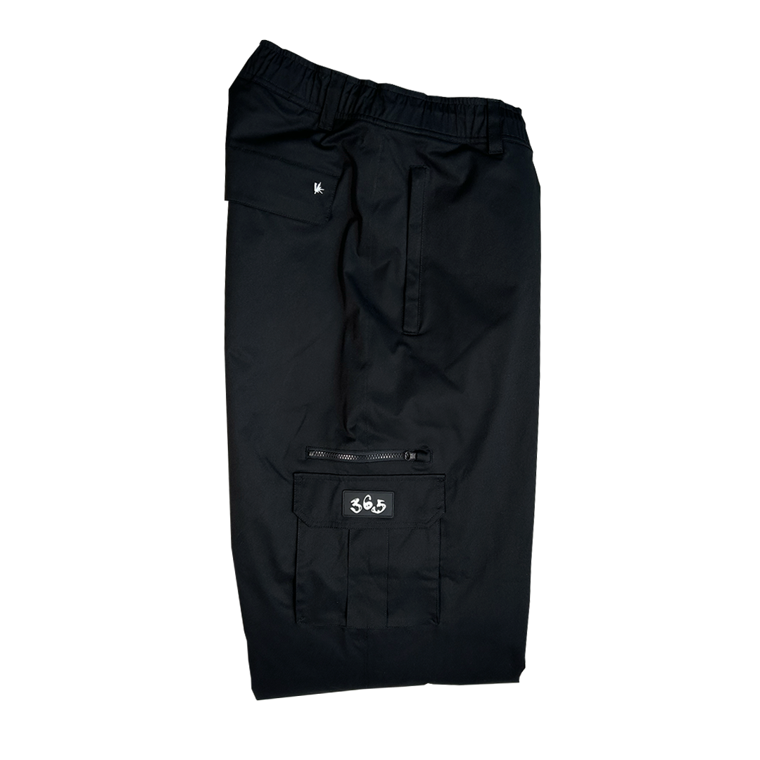V's 02 snowpant - black